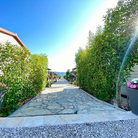 Mobile Homes Kamp Maslina, Biograd Na Moru Dış mekan fotoğraf