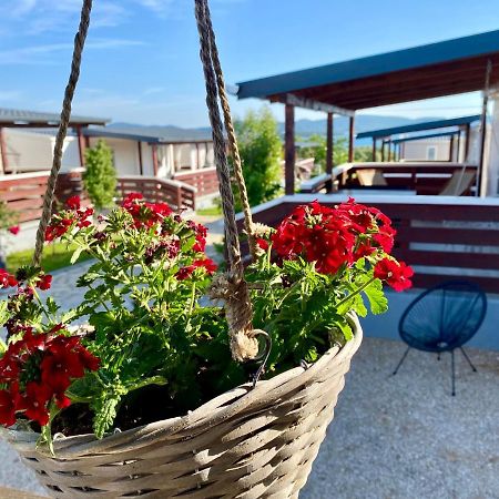Mobile Homes Kamp Maslina, Biograd Na Moru Dış mekan fotoğraf