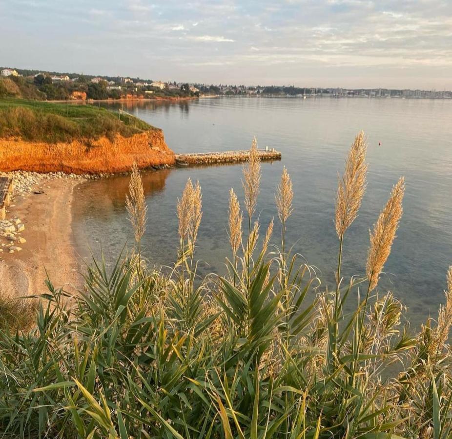 Mobile Homes Kamp Maslina, Biograd Na Moru Dış mekan fotoğraf