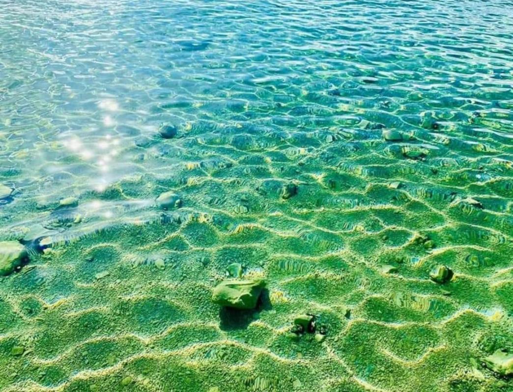 Mobile Homes Kamp Maslina, Biograd Na Moru Dış mekan fotoğraf