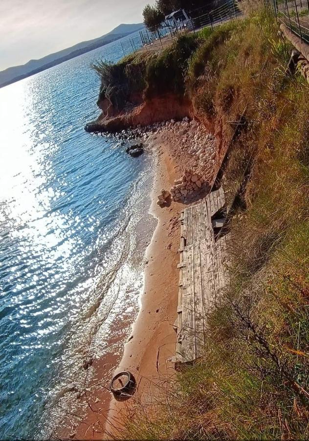 Mobile Homes Kamp Maslina, Biograd Na Moru Dış mekan fotoğraf