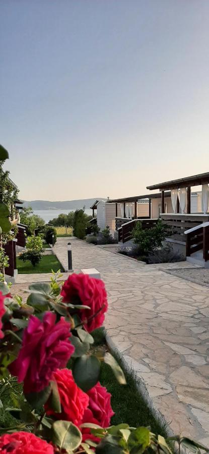 Mobile Homes Kamp Maslina, Biograd Na Moru Dış mekan fotoğraf