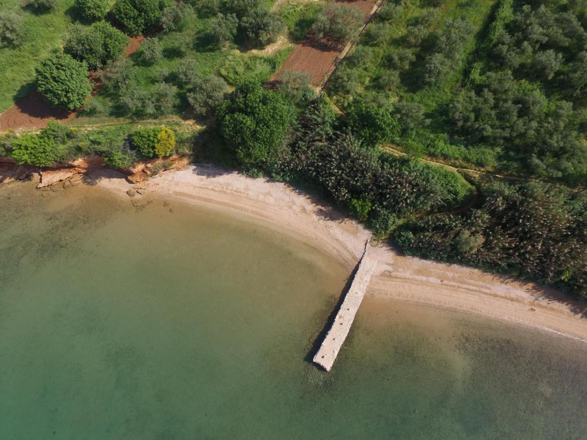 Mobile Homes Kamp Maslina, Biograd Na Moru Dış mekan fotoğraf